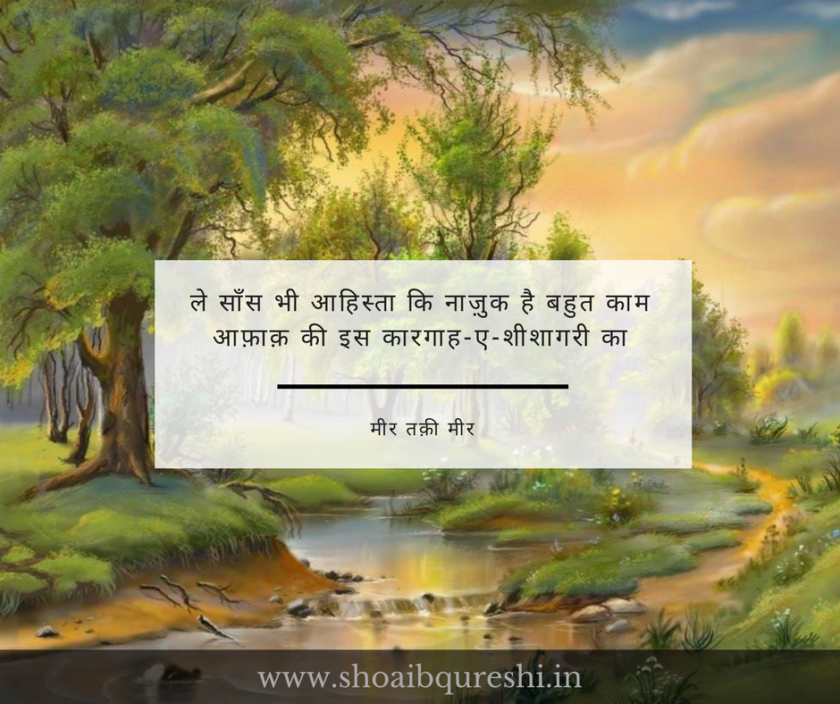 Meer Taqi Meer | ShoaibQureshi.in | Soya Says